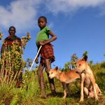 Kara-Tunga Karamoja Tours Mountain Nature Walk Moroto Hike Climb Ugandaa