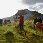 Kara-Tunga Karamoja Tours Mountain Nature Walk Moroto Hike Climb Ugandaa