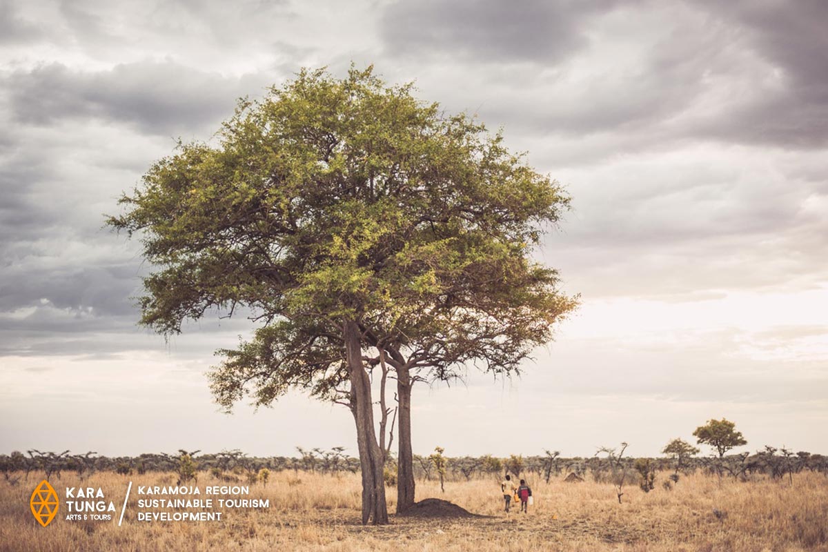 Uganda Cultural Experience with Nomadic Warriors of Karamoja