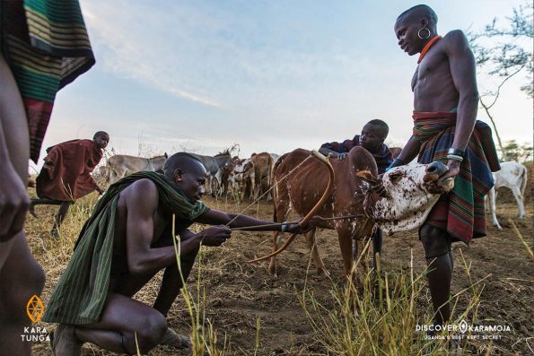 Kara Tunga Karamoja Uganda Cultural Tour Homestay