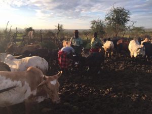 Robin Josso Karamoja Reis Safari Tour