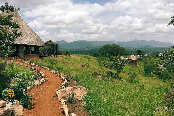 Kidepo Valley Uganda Accommodation Safaris Tour Travel Savannah Lodge