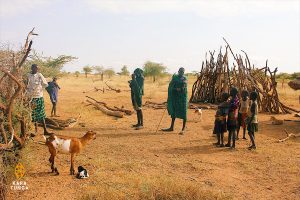 Kara-Tunga Karamoja Tours Cultural Kraal Safari Travel Uganda