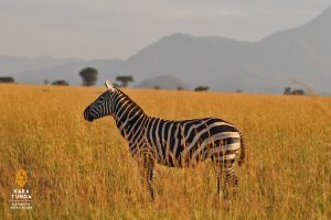 Jan Boelo Fashion Designer Africa Uganda Karamoja Travel Safari