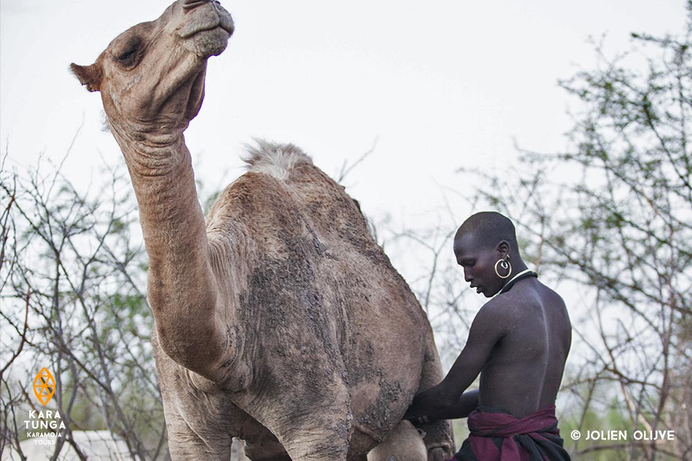 kara-tunga-karamoja-camp-kraal-shepherd-tour-travel-safari-3
