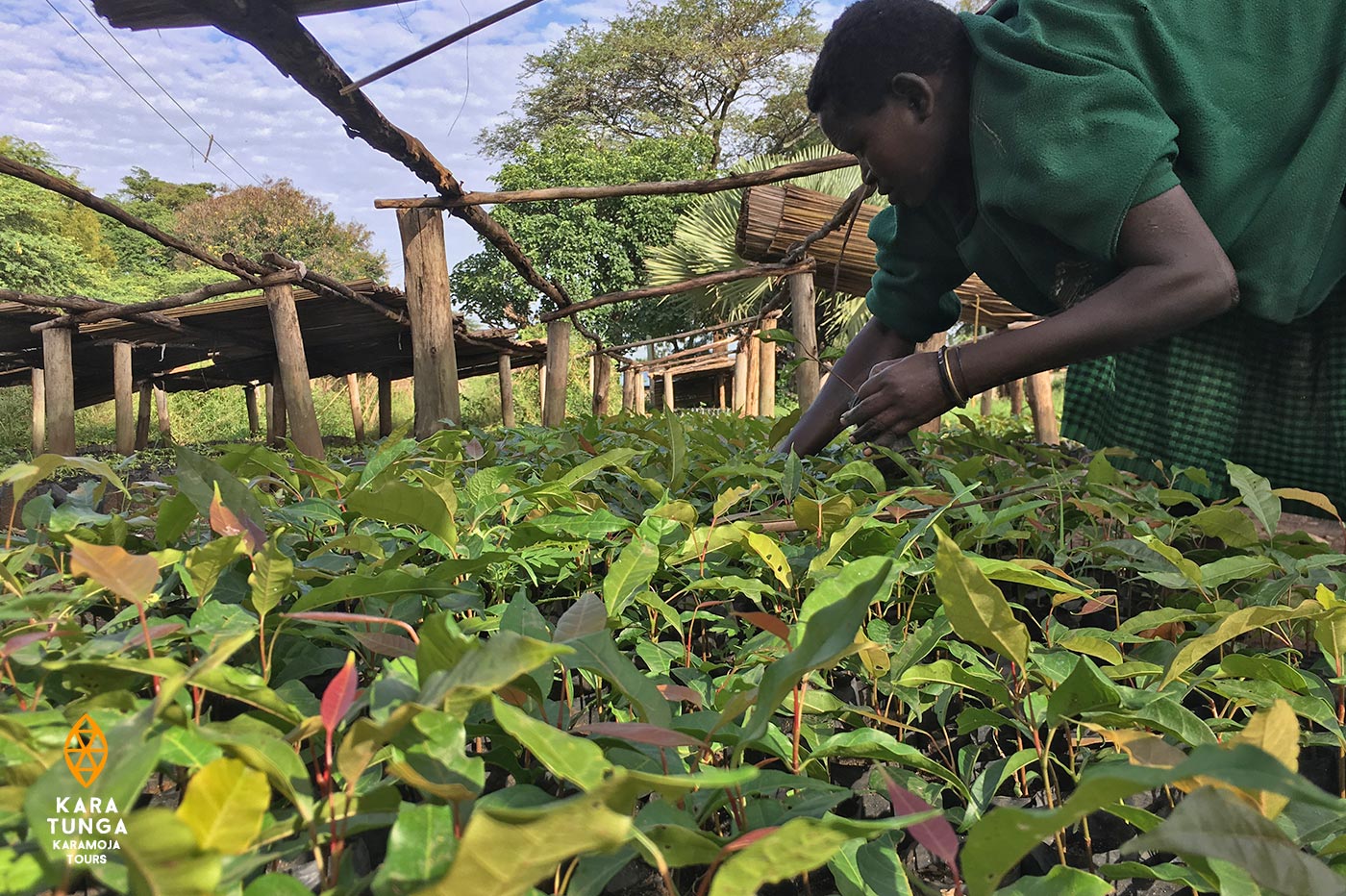 kara-tunga-tree-planting-1