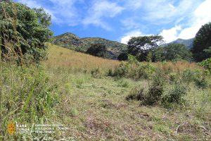 kara-tunga-mount-moroto-tourism-action-slashing-11