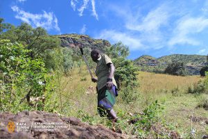 kara-tunga-mount-moroto-tourism-action-slashing-11