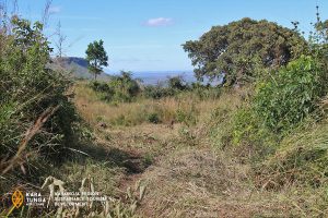 kara-tunga-mount-moroto-tourism-action-slashing-11