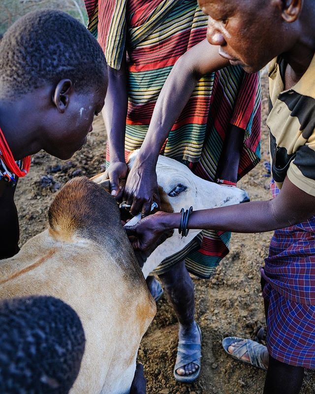 kara-tunga-karamoja-uganda-cultural-tour-travel-safari-village-kraal-kidepo-7