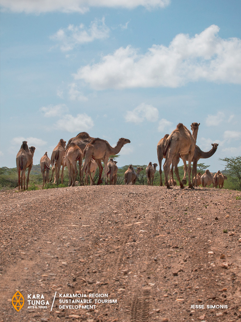 Trip Safari Tour to Lake Turkana Kenya from Moroto Karamoja Uganda