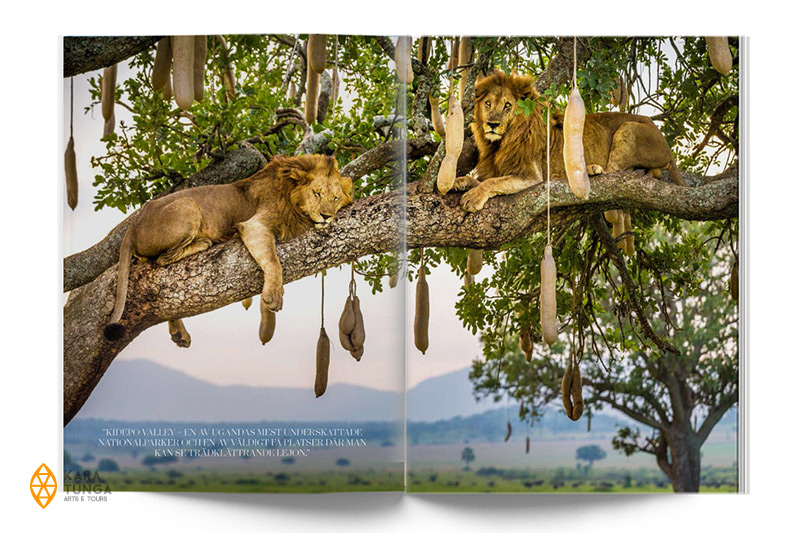 kara-tunga-vagabond-uganda-karamoja-travel-tour-safari-westberg-1