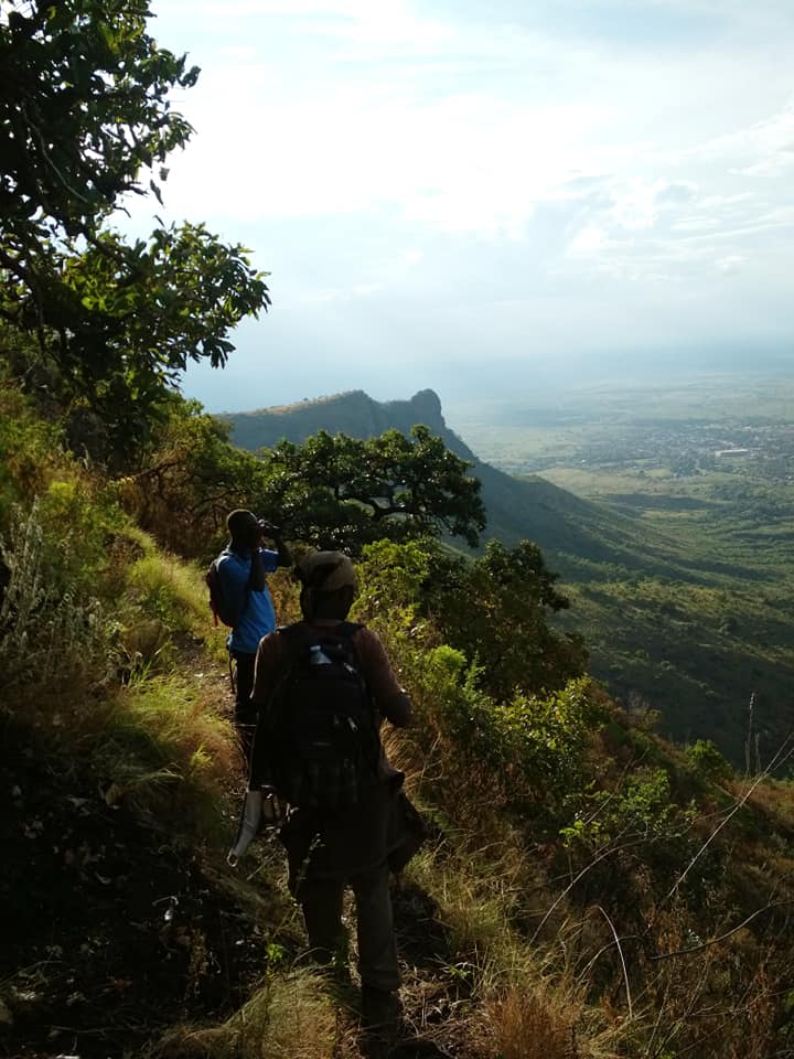 Birding on Mount Moroto Northeastern Uganda Karamoja region