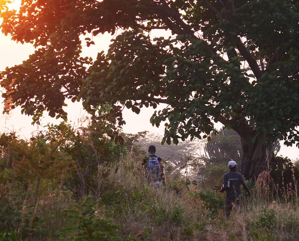 Birding in Moroto and Karamoja Northeastern Uganda