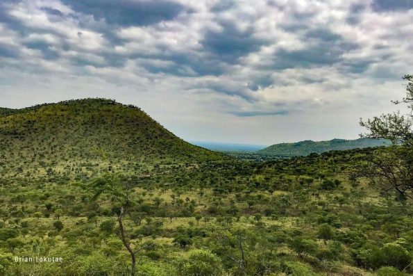 Brian-Lokutae-Birding-Karamoja-Northeastern-Uganda