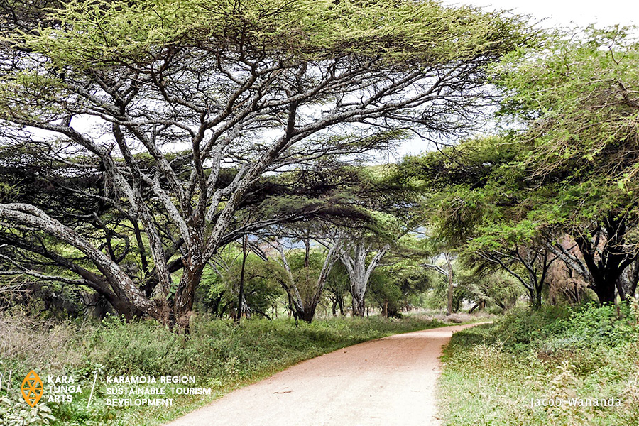 kara-tunga-best-things-to-do-Moroto-The-Elgon-Trail-Gook-2