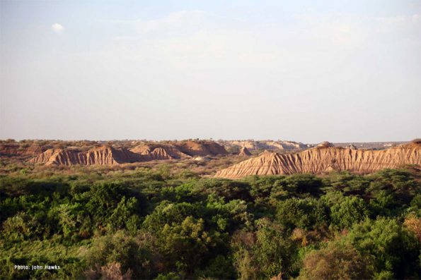 Ateker-Caravan-Omo-Kibish-Formation