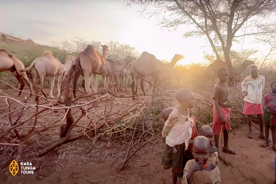 kara-tunga-karamoja-uganda-cultural-tour-kraal-village-visit