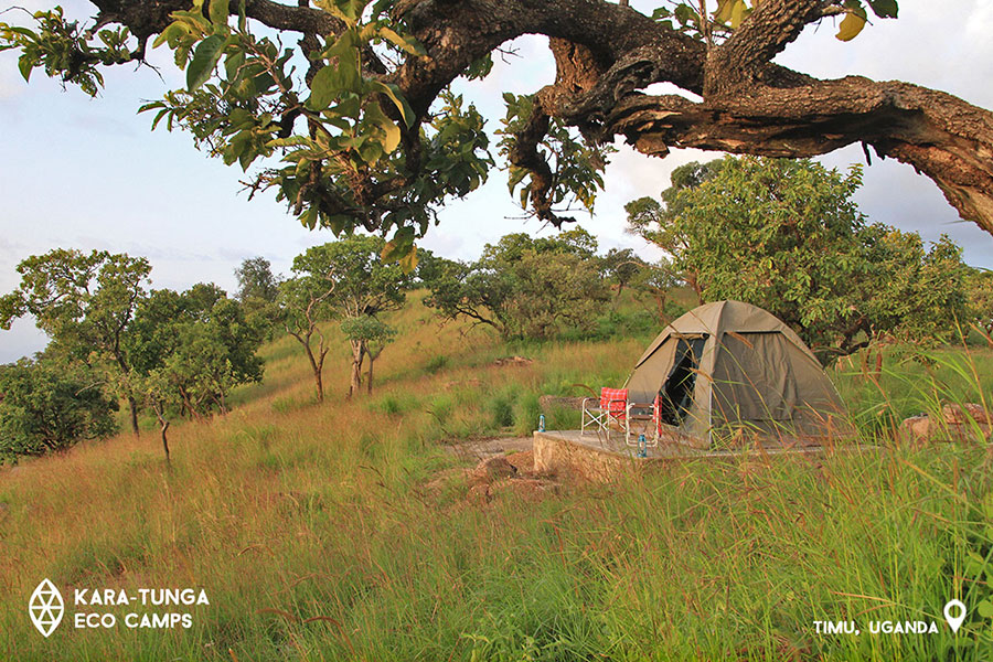 kara-tunga-eco-camp-timu-rooms-karamoja-uganda