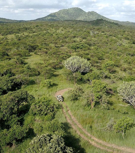 kara-tunga-eco-camps-timu-morungole