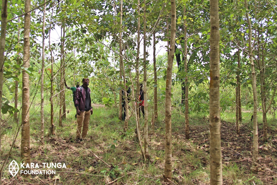 kara-tunga-foundation-karamoja-uganda-conservation-kijani-forest-26