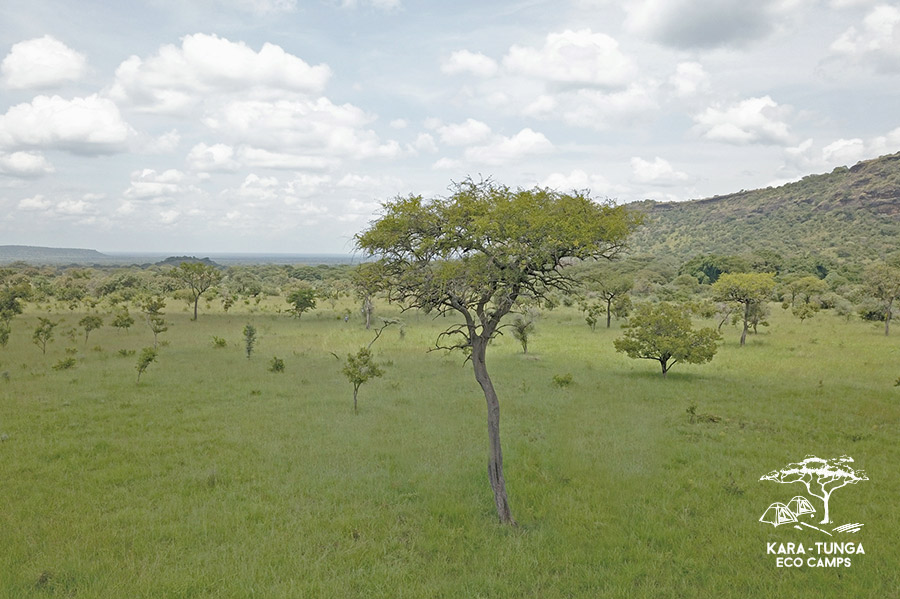 kara-tunga-eco-camps-pian-upe-mount-kadam-1