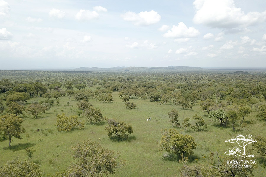kara-tunga-eco-camps-pian-upe-mount-kadam-2