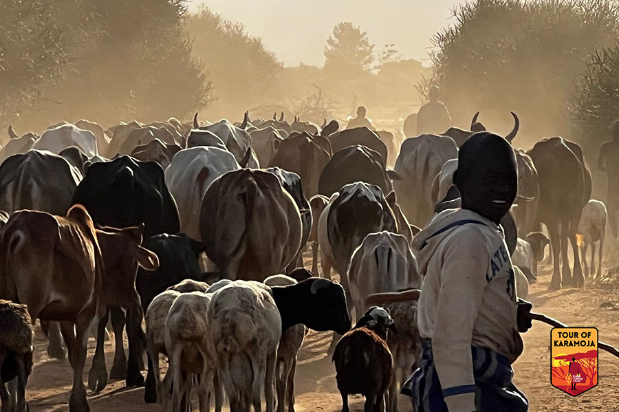 kara-tunga-tour-of-karamoja-review-marije-3