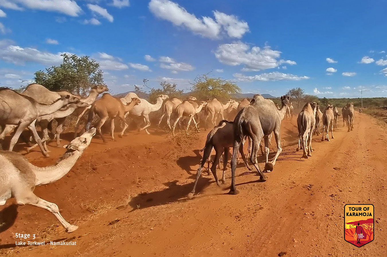 kara-tunga-tour-of-karamoja-warrior-nomad-trail-stage-6