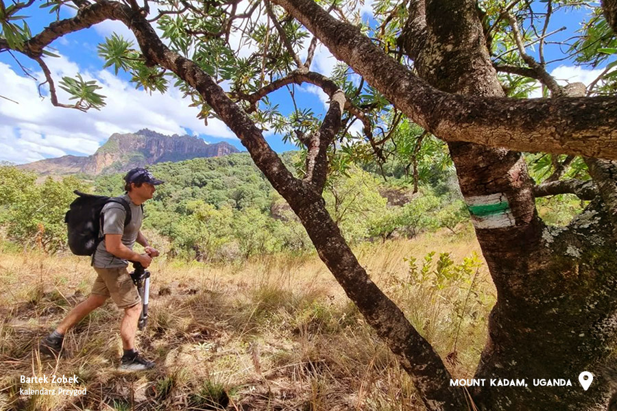 hiking-trails-mount-kadam-uganda-3