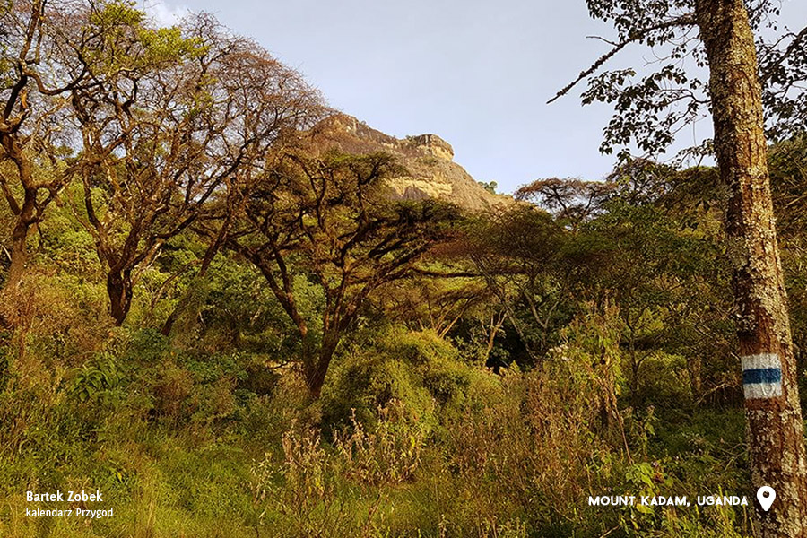 hiking-trails-mount-kadam-uganda-6