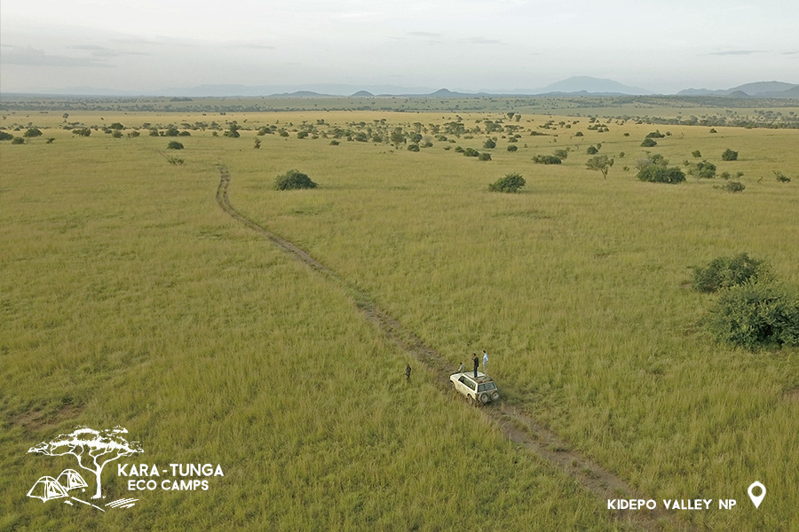 Kara-Tunga Eco Camp in Kidepo Valley National Park