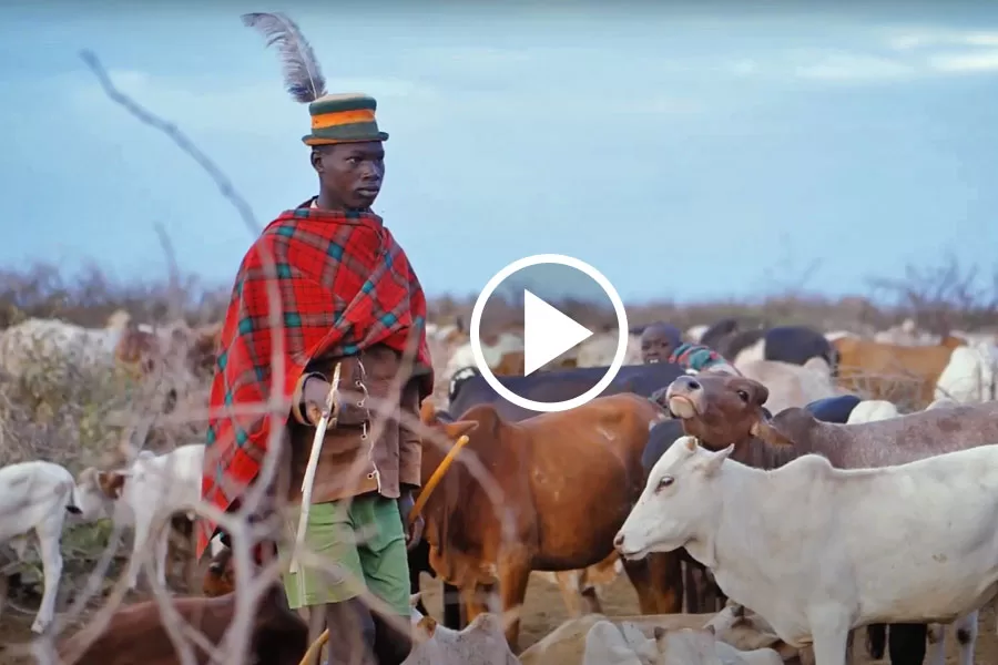 kara-tunga-karamoja-one-day-tour-moroto-kraal-shepherd