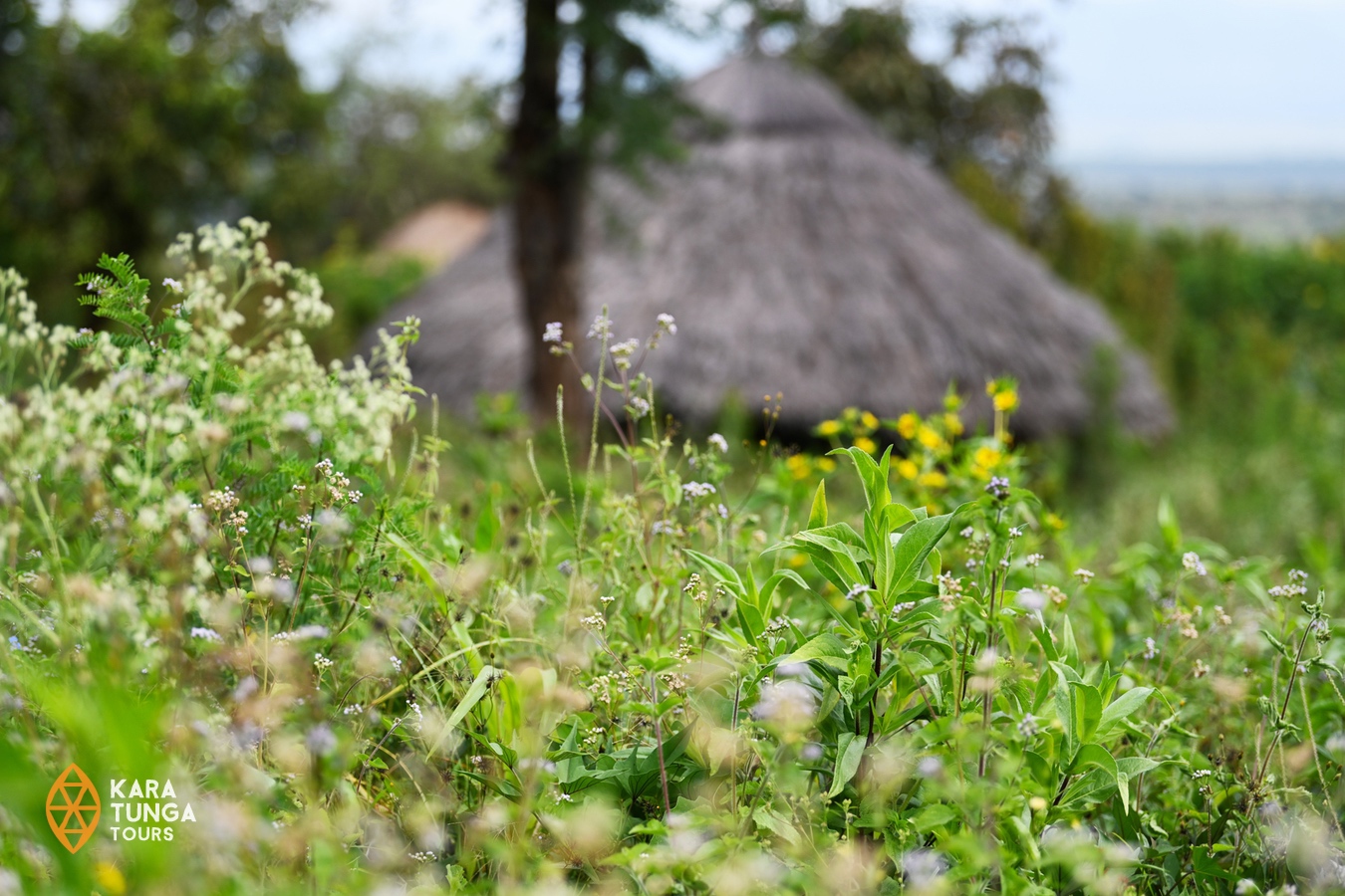 kara-tunga-honey-uganda-karamoja-flowers-forage-kidepo-landscape-organic-tourism